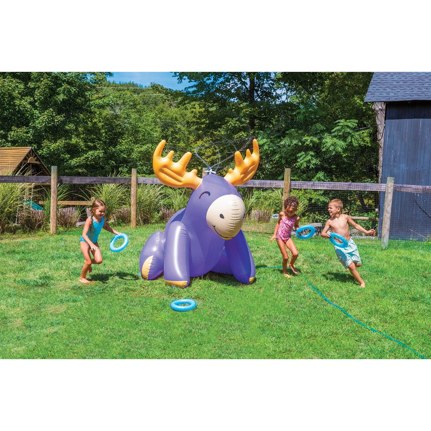 Moose Ring Toss Sprinkler 3 Moose Ring Toss Sprinkler