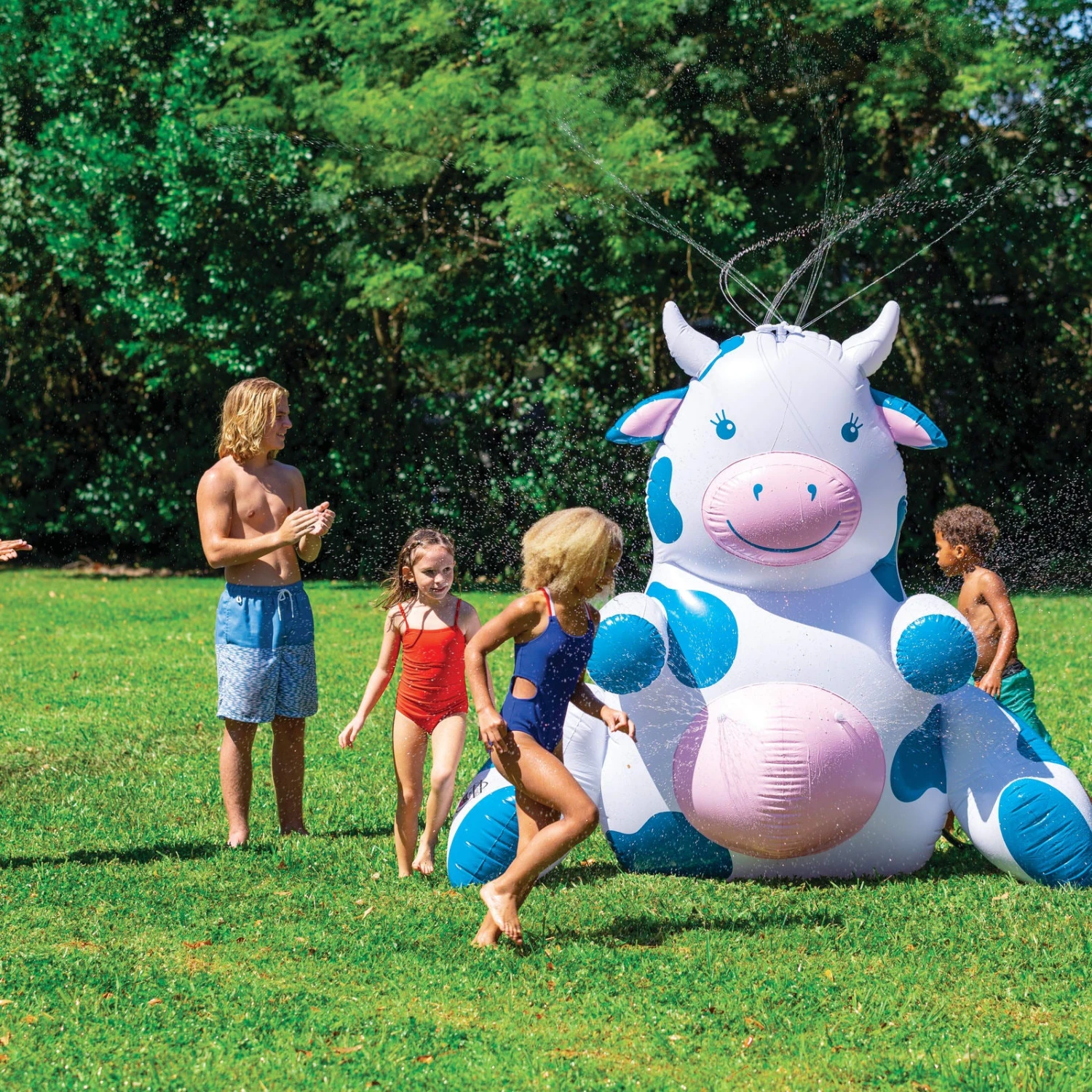 Cow Spinning Sprinkler 8 Cow Spinning Sprinkler - Image 6