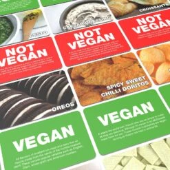 Bubblegum Stuff - Vegan Not Vegan 9 Bubblegum Stuff - Vegan Not Vegan -Toy Sale Store BG1903 4