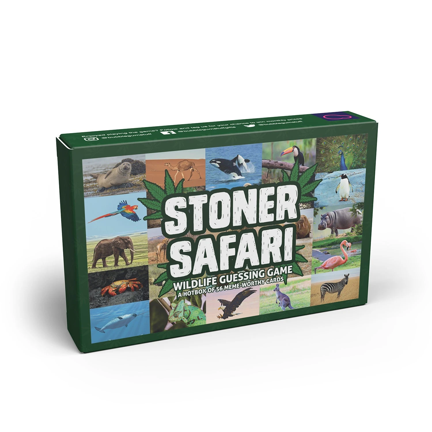 Bubblegum Stuff - Stoner Safari 5 Bubblegum Stuff - Stoner Safari - Image 3