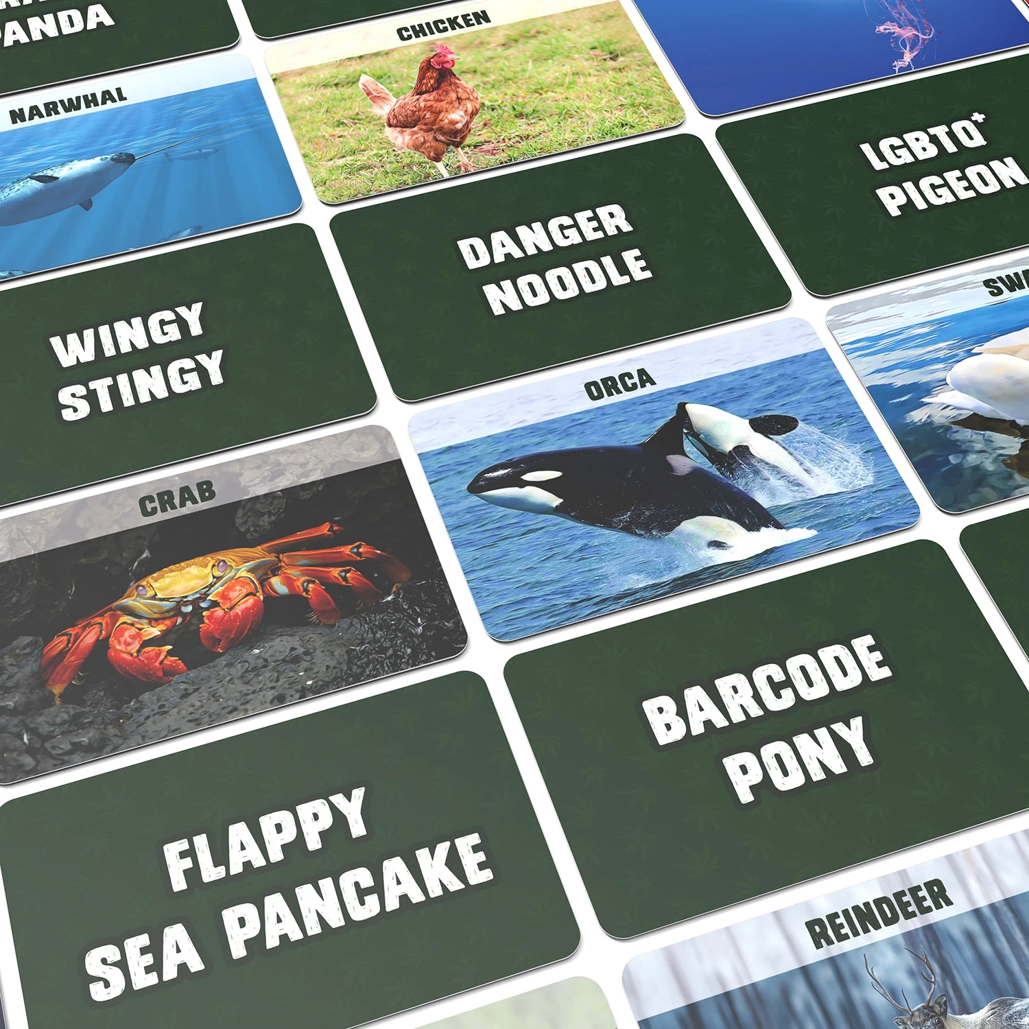 Bubblegum Stuff - Stoner Safari 6 Bubblegum Stuff - Stoner Safari - Image 4