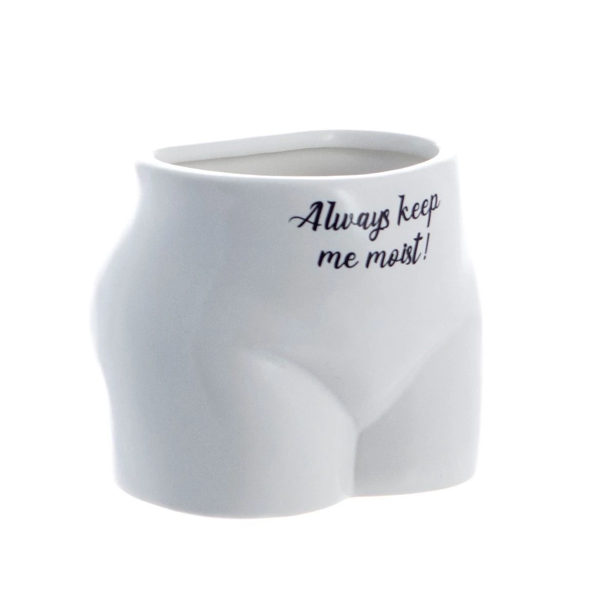 Put Some Plants On - Always Keep Me Moist Planter 4 Put Some Plants On - Always Keep Me Moist Planter - Image 2