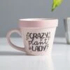Plant-a-holic Mugs - Crazy Plant Lady 2 Plant-a-holic Mugs - Crazy Plant Lady -Toy Sale Store BO MU3077 1