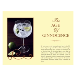 A Gin Snobs Guide Book 10 A Gin Snobs Guide Book -Toy Sale Store BO YFD0161 4