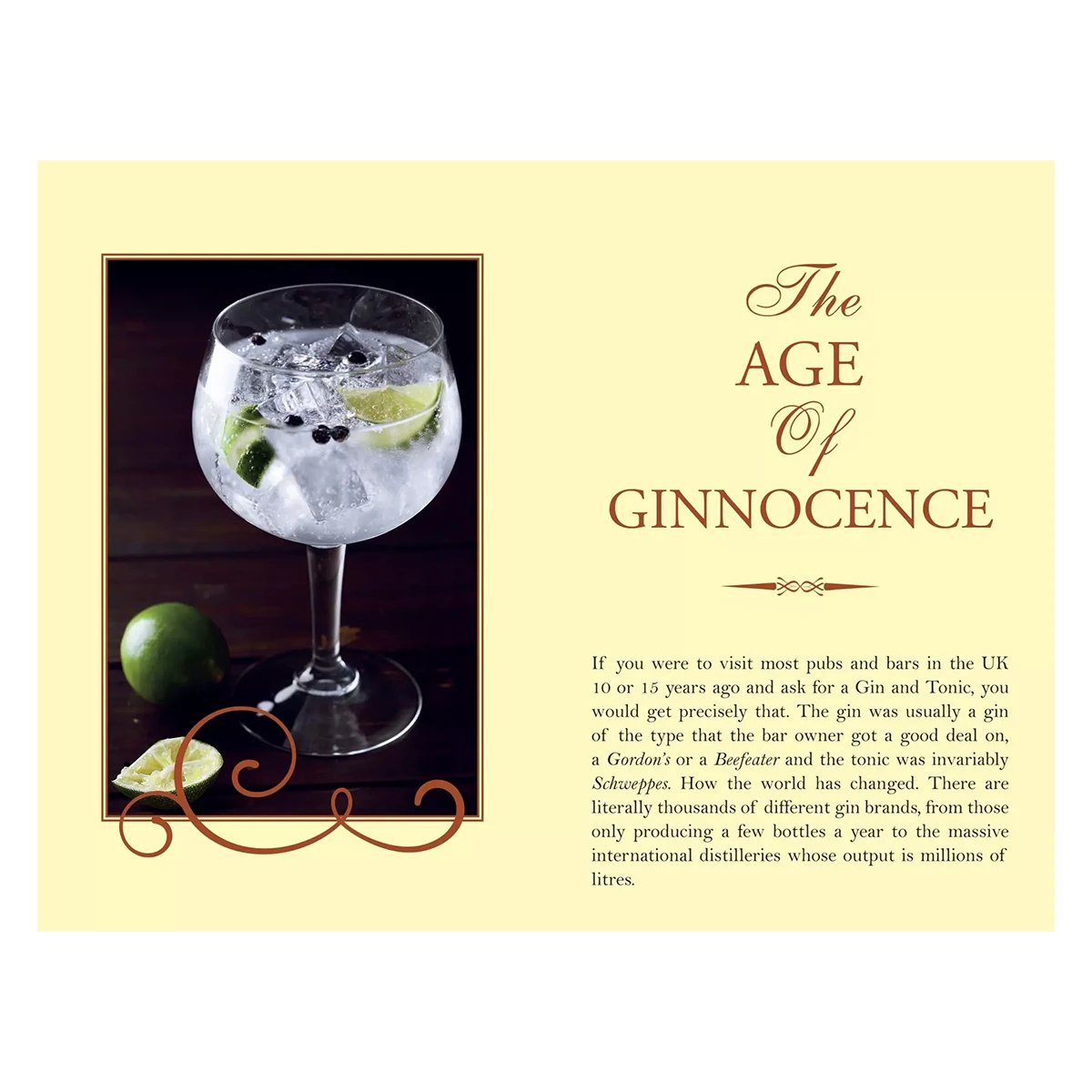 A Gin Snobs Guide Book 6 A Gin Snobs Guide Book - Image 4