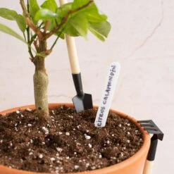 Thumbs Up Gardener's Gift Mug -Toy Sale Store GFTGDNMUG 4