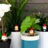 GIFT REPUBLIC Naughty Gnomes Planters 2 GIFT REPUBLIC Naughty Gnomes Planters -Toy Sale Store GR452094 1
