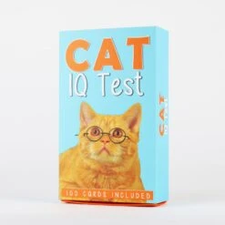 GIFT REPUBLIC Cat IQ Test 7 GIFT REPUBLIC Cat IQ Test -Toy Sale Store GR490092 3