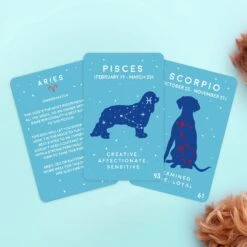 GIFT REPUBLIC Paw-Mistry Dog Edition Cards -Toy Sale Store GR840004 3