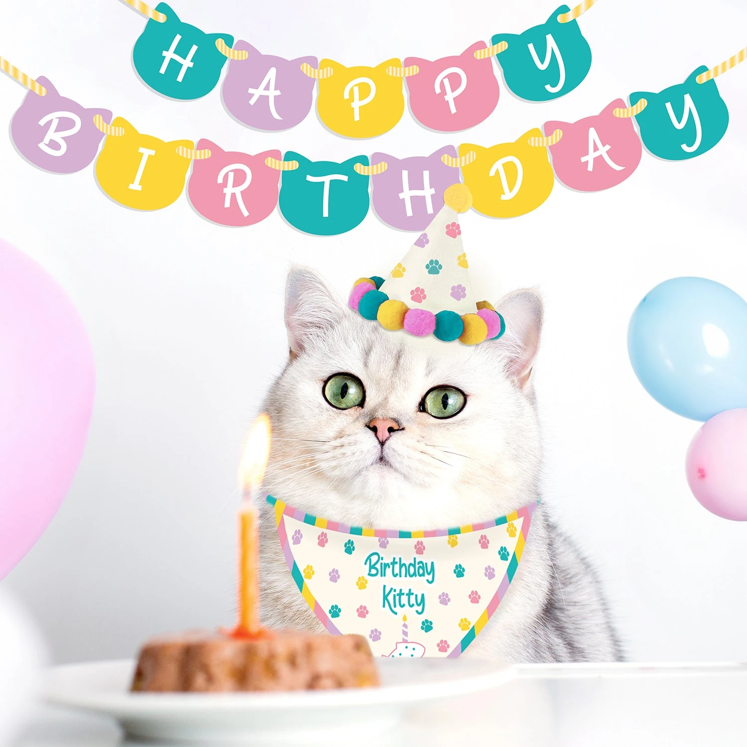 GIFT REPUBLIC Birthday Kitty - Cat Birthday Kit 7 GIFT REPUBLIC Birthday Kitty - Cat Birthday Kit - Image 5