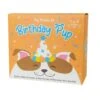 GIFT REPUBLIC Birthday Pup - Dog Birthday Kit 1 GIFT REPUBLIC Birthday Pup - Dog Birthday Kit -Toy Sale Store GR900068 1