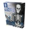 Make & Decorate Set - Human Skeleton -Toy Sale Store HOM 212911 1