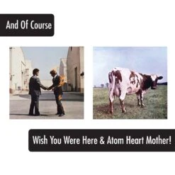 Pink Floyd Album Covers Pint Glasses - 4 Pack 13 Pink Floyd Album Covers Pint Glasses - 4 Pack -Toy Sale Store ICU 05031 5