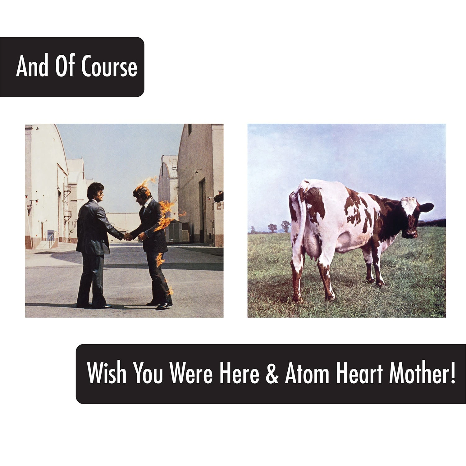 Pink Floyd Album Covers Pint Glasses - 4 Pack 7 Pink Floyd Album Covers Pint Glasses - 4 Pack - Image 5