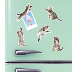 Mustard - Action Cat Magnets - Set Of 12