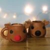 Paladone Rudolph Heat Change Mug 1 Paladone Rudolph Heat Change Mug -Toy Sale Store PP2563