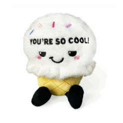 "You're So Cool!" Icecream Cone