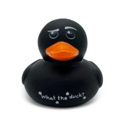 Punchkins - Sassy Rubber Ducks -Toy Sale Store PU RUBD PDQ 4