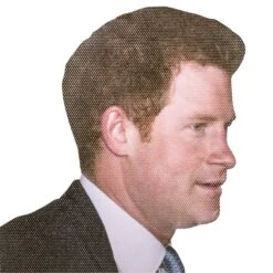 Thumbs Up Ride With Prince Harry - Car Window Decal 7 Thumbs Up Ride With Prince Harry - Car Window Decal -Toy Sale Store RW HRYRHD 3