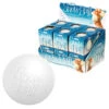 Schylling - Snow Ball Crunch Stress Ball 1 Schylling - Snow Ball Crunch Stress Ball -Toy Sale Store SCH SNBC 1