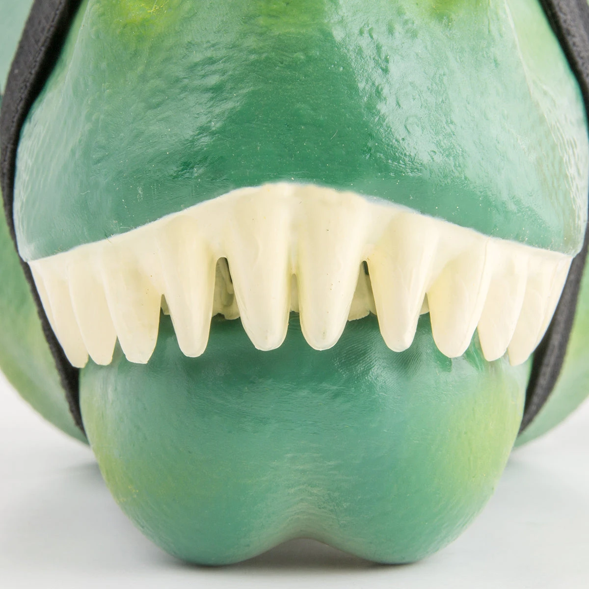 Suck UK Dino Case 5 Suck UK Dino Case - Image 3