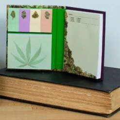 High Notes 9 High Notes -Toy Sale Store UPG 5734 4