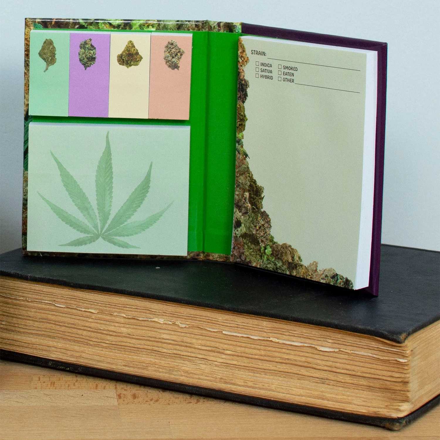 High Notes 6 High Notes - Image 4