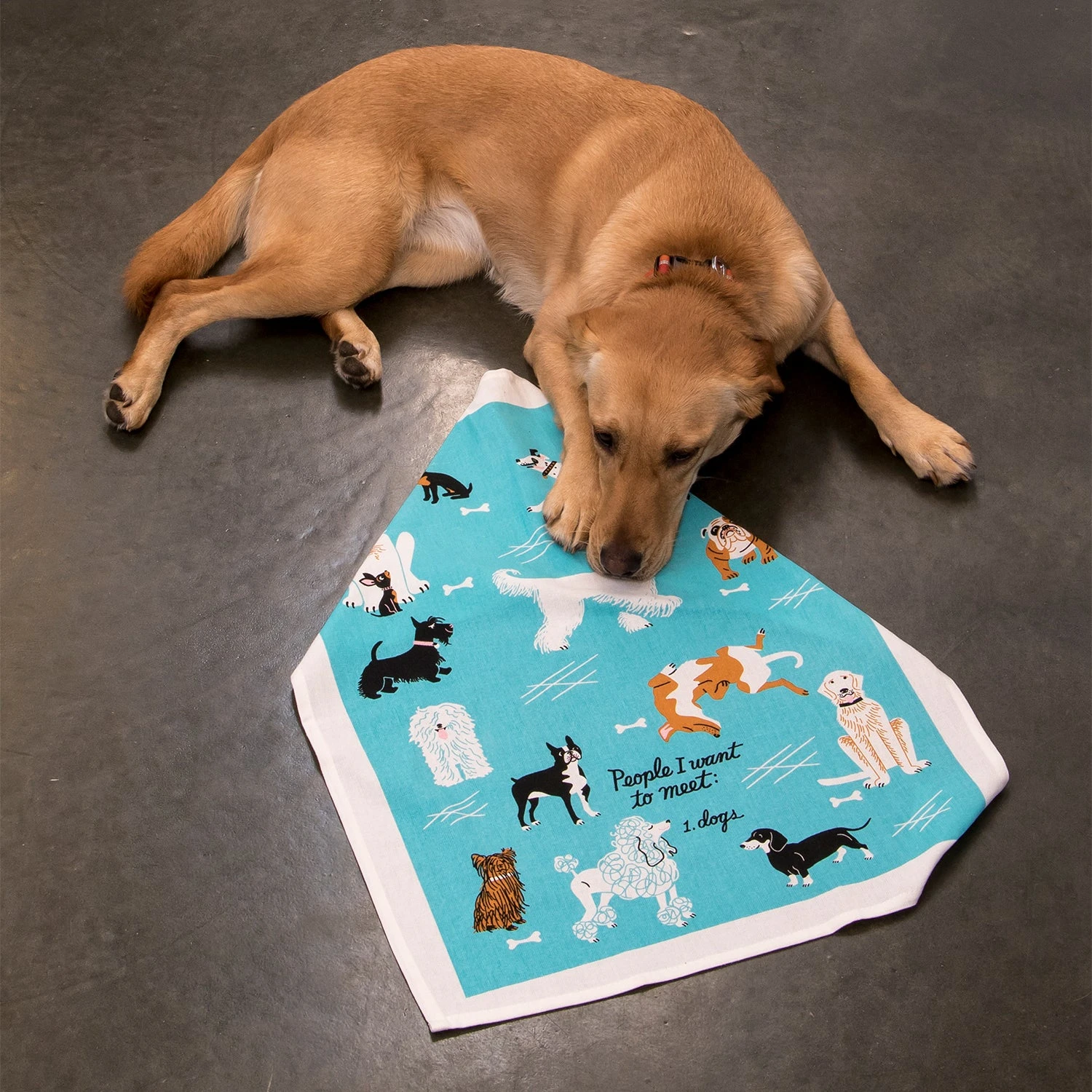 Dish Towel - People To Meet: Dogs 4 Dish Towel - People To Meet: Dogs - Image 2
