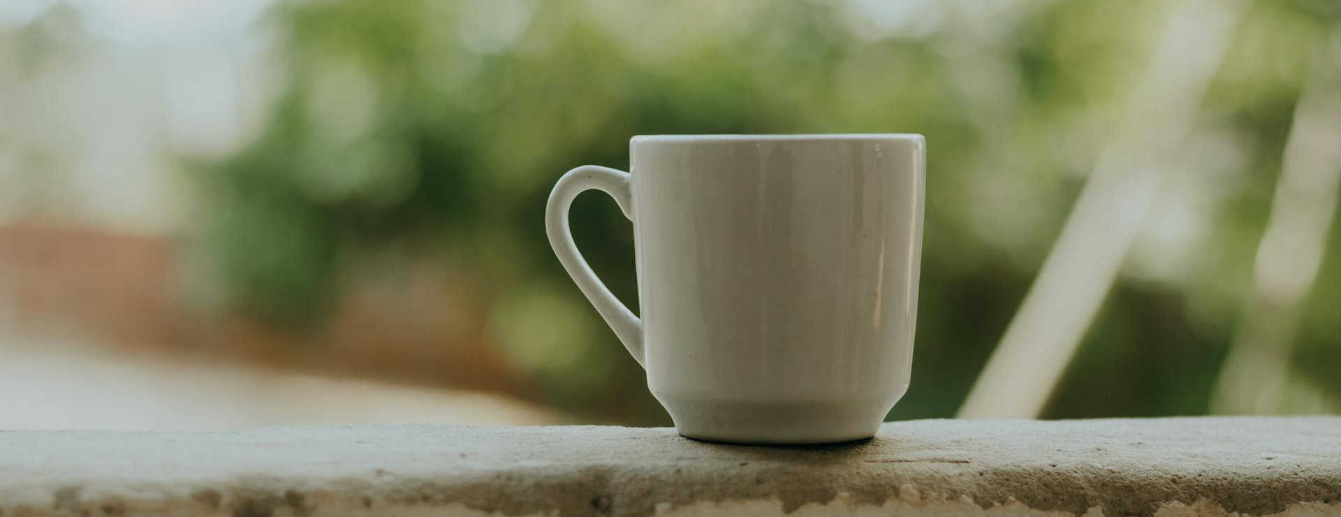 Front Page 1 Front Page -Toy Sale Store pexels kassiamelox 19774727